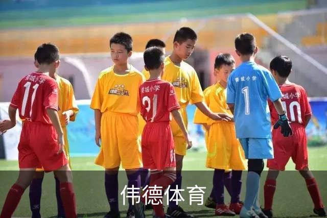 伟德体育公司简介